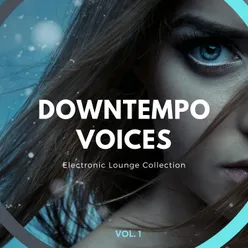 Downtempo Voices, Vol. 1 Electronic Lounge Collection