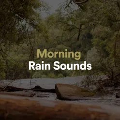 Morning Rain Sound