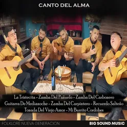 La Tristecita / Zamba del Pañuelo / Zamba del Carbonero / Guitarra de Medianoche / Zamba del Carpintero / Recuerdo Salteño / Tonada del Viejo Amor / Mi Burrito Cordobés