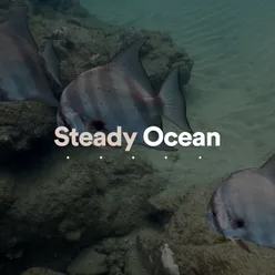 Steady Ocean, Pt. 28