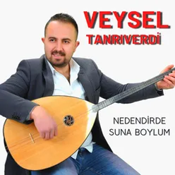 Nedendirde Suna Boylum