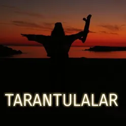 Tarantulalar