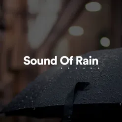 Sound of Rain, Pt. 4