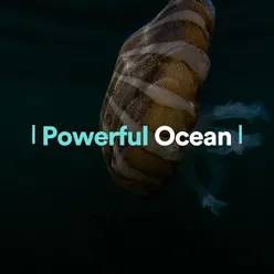 Ocean Possibility