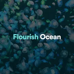 Flourish Ocean, Pt. 3