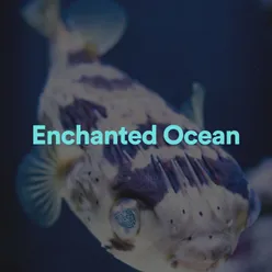 Enchanted Ocean, Pt. 2