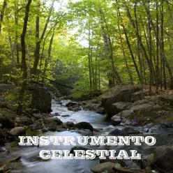 INSTRUMENTO CELESTIAL