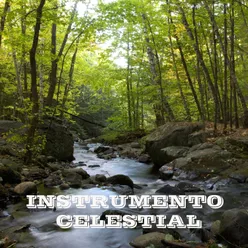 Instrumento Celestial