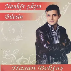 Nankör Çıktın Bilesin