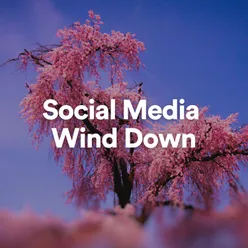 Social Media Wind Down, Pt. 11