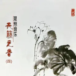 寒鸦戏水