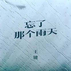 忘了那个雨天