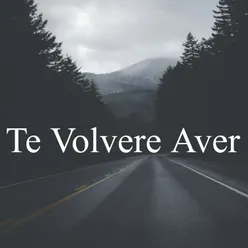 Te Volvere a Ver