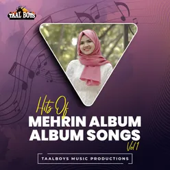Paadikadavath Hits Of Mehrin Album Songs, Vol.1