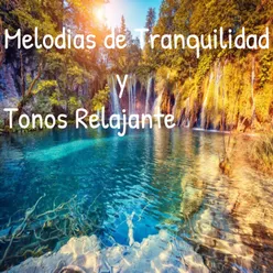 Melodías de tranquilidad y tonos Relajante