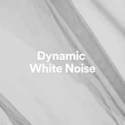 Dynamic White Noise
