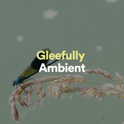 Ambient Concentrate
