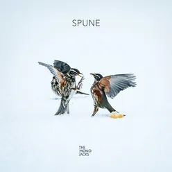 Spune