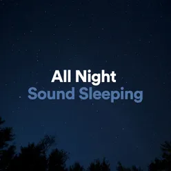 All Night Sound Sleeping, Pt. 22