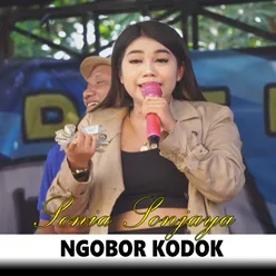 Ngobor Kodok