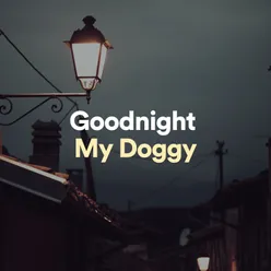 Goodnight Doggy