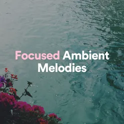 Focused Ambient Melodies, Pt. 1