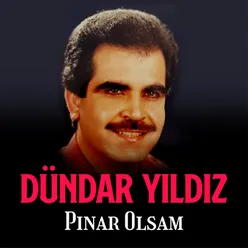 Pınar Olsam