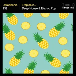 Tropica 20 Deep House & Electro Pop