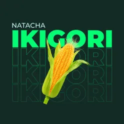 Ikigori