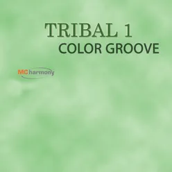 Tribal Color Groove 1
