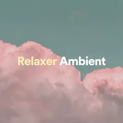 Relaxer Ambient