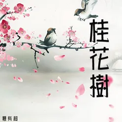 桂花树