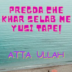 Pregda Che Khar Selab Me Yusi Tape