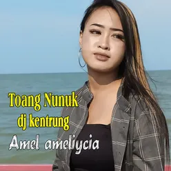 Toang Nunuk Dj Kentrung