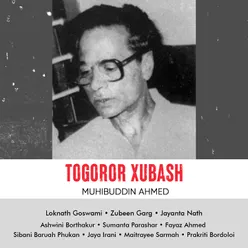Togoror Xubash