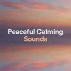 Peaceful Calming Sounds