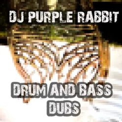 4 Ur Convenience DJ Purple Rabbit VIP Remix
