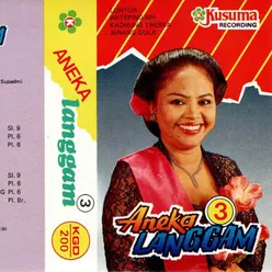 Aneka Langgam Jawa Anik Sunyahni - Luntur, Vol. 3