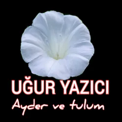 Nazlı Yar Tapeçi