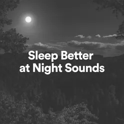 Sleep Better at Night Sounds, Pt. 10