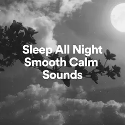 Sleep All Night Smooth Calm Sounds, Pt. 1