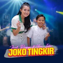 Joko Tingkir