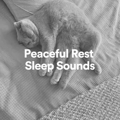 Peaceful Rest Sleep Sounds, Pt. 2
