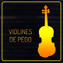 Violines De Pego