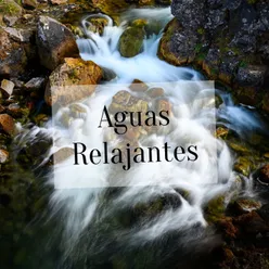 Aguas Ralajantes