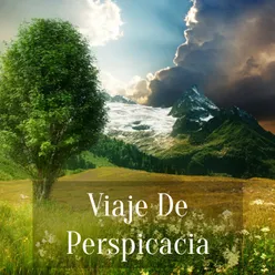 Viaje De Perspicacia