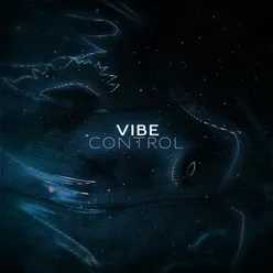 VIBE CONTROL