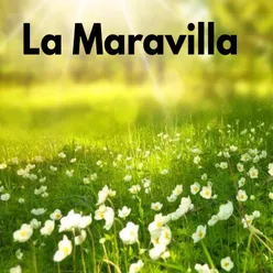 La Maravilla La Maravilla