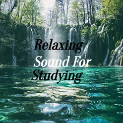 Relaxing Sound For Studying