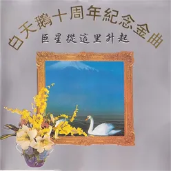 巨星从这里升起 白天鹅10周年纪念金曲